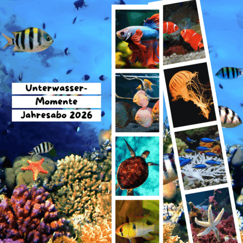 Jahres-Abo 2026 - Unterwasser-Momente