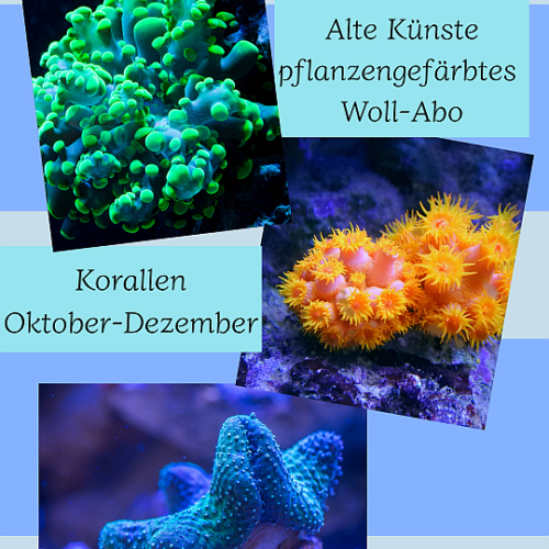 Vorverkauf: Unterwasser-Abo Oktober-Dezember 2026 - Korallen
